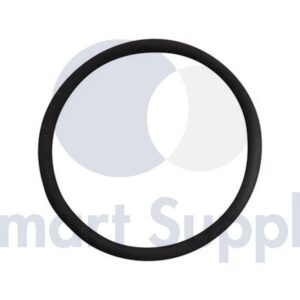 ANEL DE VEDAÇÃO PN 100019 JENBACHER