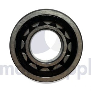 ROLAMENTO ROLETES CILÍNDRICOS PN 100421 JENBACHER