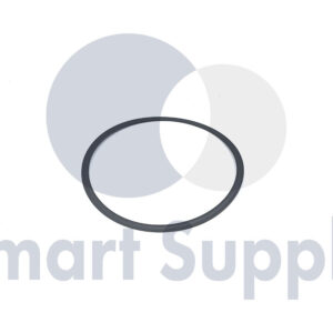 ANEL DE VEDAÇÃO PN 12305008 MWM