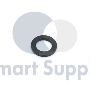 ARRUELA PN 12420649 CAT - MWM