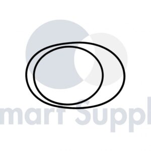 ANEL DE VEDAÇÃO PN 267793 JENBACHER