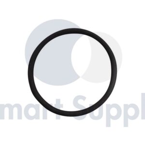 ANEL DE VEDAÇÃO PN 376483 JENBACHER