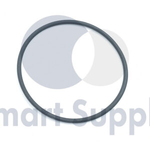 ANEL DE VEDAÇÃO PN 376507 JENBACHER