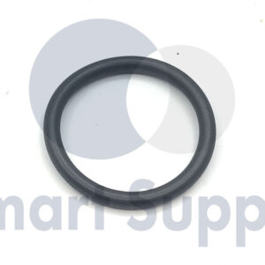 ANEL DE VEDAÇÃO PN 12523982 MWM