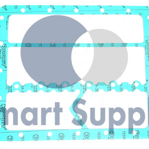 GAXETA PN 12141952 CAT - MWM