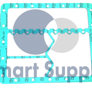 GAXETA PN 12141953 CAT - MWM