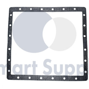 GAXETA PN 12304084 MWM