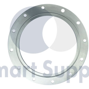 JUNTA DE VEDAÇÃO MECÂNICA PN 12304040 MWM