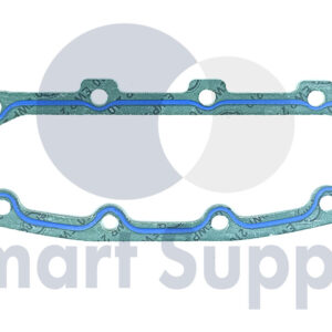 VEDAÇÃO PN 12307445 CAT - MWM