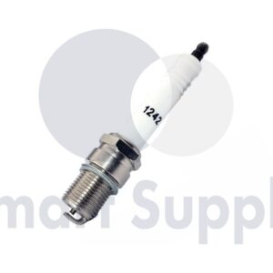 VELA DE IGNIÇÃO PN 12420480 MWM